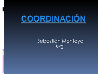 Sebastián Montoya 9°2  
