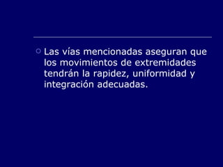 Las vías mencionadas aseguran que los movimientos de extremidades tendrán la rapidez, uniformidad y integración adecuadas. 