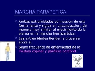 MARCHA PARAPETICA Ambas extremidades se mueven de una forma lenta y rígida en circunduccion, de manera muy similar al movimiento de la pierna en la marcha hemiparética. Las extremidades tienden a cruzarse entre si.  Signo frecuente de enfermedad de la  medula espinal y parálisis cerebral . 