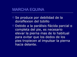 MARCHA EQUINA Se produce por debilidad de la dorsiflexion del tobillo Debido a la parálisis flácida parcial o completa del pie, es necesario elevar la pierna mas de lo habitual para evitar que los dedos de los pies tropiecen al impulsar la pierna hacia delante. 