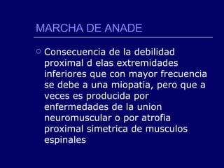 MARCHA DE ANADE Consecuencia de la debilidad proximal d elas extremidades inferiores que con mayor frecuencia se debe a una miopatia, pero que a veces es producida por enfermedades de la union neuromuscular o por atrofia proximal simetrica de musculos espinales 