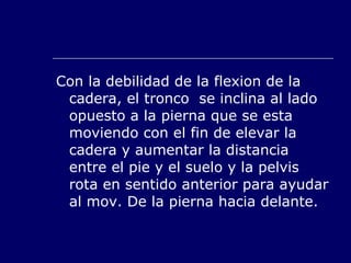 Con la debilidad de la flexion de la cadera, el tronco  se inclina al lado opuesto a la pierna que se esta moviendo con el fin de elevar la cadera y aumentar la distancia entre el pie y el suelo y la pelvis rota en sentido anterior para ayudar al mov. De la pierna hacia delante. 