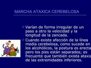 MARCHA ATAXICA CEREBELOSA Varían de forma irregular de un paso a otro la velocidad y la longitud de la zancada. Cuando existe afección de la línea media cerebelosa, como sucede en los alcohólicos, la postura es erecta, pero los pies están separados; es frecuente que también exista ataxia de las extremidades inferiores. 