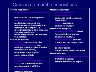 Causas de marcha especificas Marcha espástica:  absceso cerebral   tumor cerebral   accidente cerebrovascular (apoplejía )  trauma  craneano   esclerosis múltiple  Marcha en estepaje:  síndrome de  Guillain - Barré   hernia de disco lumbar  esclerosis múltiple  atrofia muscular  peronea  trauma del nervio peroneo  poliomielitis   polineuropatía  trauma de la médula espinal  Marcha de pato:  displasia congénita de la cadera   Distrofia muscular  atrofia del músculo espinal  Marcha festinante:  intoxicación con monóxido de carbono   intoxicación con manganeso  mal de Parkinson   medicamentos como las fenotiazinas, el haloperidol, el tiotixeno, la loxapina, la metoclopramida y la metirosina (los efectos de los medicamentos son usualmente temporales)  Marcha en tijeras:  accidente  cerebrovascular   espondilosis cervical  con mielopatía (un problema en las vértebras del cuello)  insuficiencia del hígado  esclerosis múltiple  anemia perniciosa   trauma en la médula espinal   tumor  en la médula espinal  meningomielitis sifilítica  siringomielia   parálisis cerebral  
