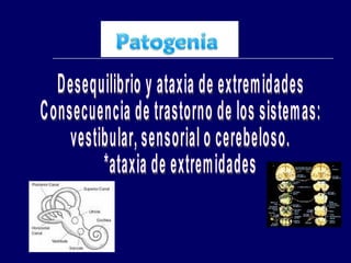 Desequilibrio y ataxia de extremidades Consecuencia de trastorno de los sistemas: vestibular, sensorial o cerebeloso. *ataxia de extremidades 