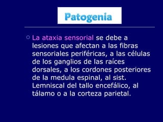 La ataxia sensorial  se debe a lesiones que afectan a las fibras sensoriales periféricas, a las células de los ganglios de las raíces dorsales, a los cordones posteriores de la medula espinal, al sist. Lemniscal del tallo encefálico, al tálamo o a la corteza parietal. 