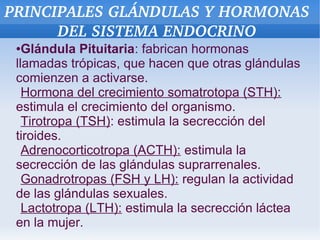 PRINCIPALES GLÁNDULAS Y HORMONAS 
DEL SISTEMA ENDOCRINO
Glándula Pituitaria: fabrican hormonas
llamadas trópicas, que hacen que otras glándulas
comienzen a activarse.
Hormona del crecimiento somatrotopa (STH):
estimula el crecimiento del organismo.
Tirotropa (TSH): estimula la secrección del
tiroides.
Adrenocorticotropa (ACTH): estimula la
secrección de las glándulas suprarrenales.
Gonadrotropas (FSH y LH): regulan la actividad
de las glándulas sexuales.
Lactotropa (LTH): estimula la secrección láctea
en la mujer.
●

 