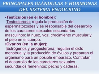 PRINCIPALES GLÁNDULAS Y HORMONAS 
DEL SISTEMA ENDOCRINO
Testículos (en el hombre):
Testosterona: regula la producción de
espermatozoides y es responsable del desarrollo
de los caracteres sexuales secundarios
masculinos: la nuez, voz, crecimiento muscular y
el pelo en el cuerpo.
●Ovarios (en la mujer):
Estrógenos y progesterona: regulan el ciclo
menstrual y la producción de óvulos y preparan el
organismo para un posible embarazo. Controlan
el desarrollo de los caracteres sexuales
secundarios femeninos: pecho y caderas.
●

 