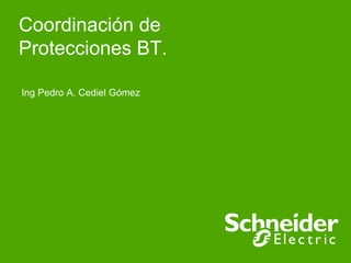 Coordinación de
Protecciones BT.

 Ing Pedro A. Cediel Gómez




Schneider Electric - Jornadas Técnicas Barranquillla- Mayo de 2009   1
 