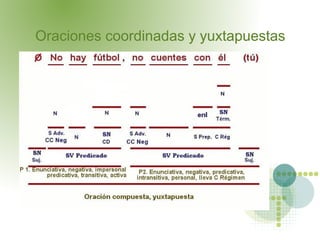 Oraciones coordinadas y yuxtapuestas
 