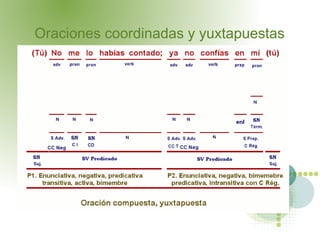 Oraciones coordinadas y yuxtapuestas
 
