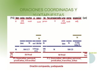 ORACIONES COORDINADAS Y
     YUXTAPUESTAS
 