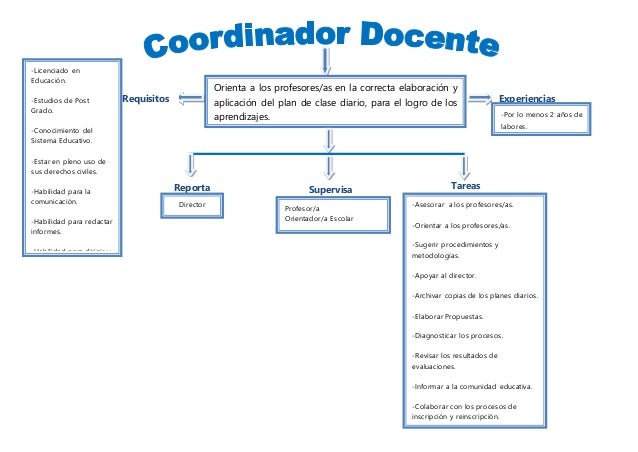 Coordinador Docente (Funciones, tareas, requisitos