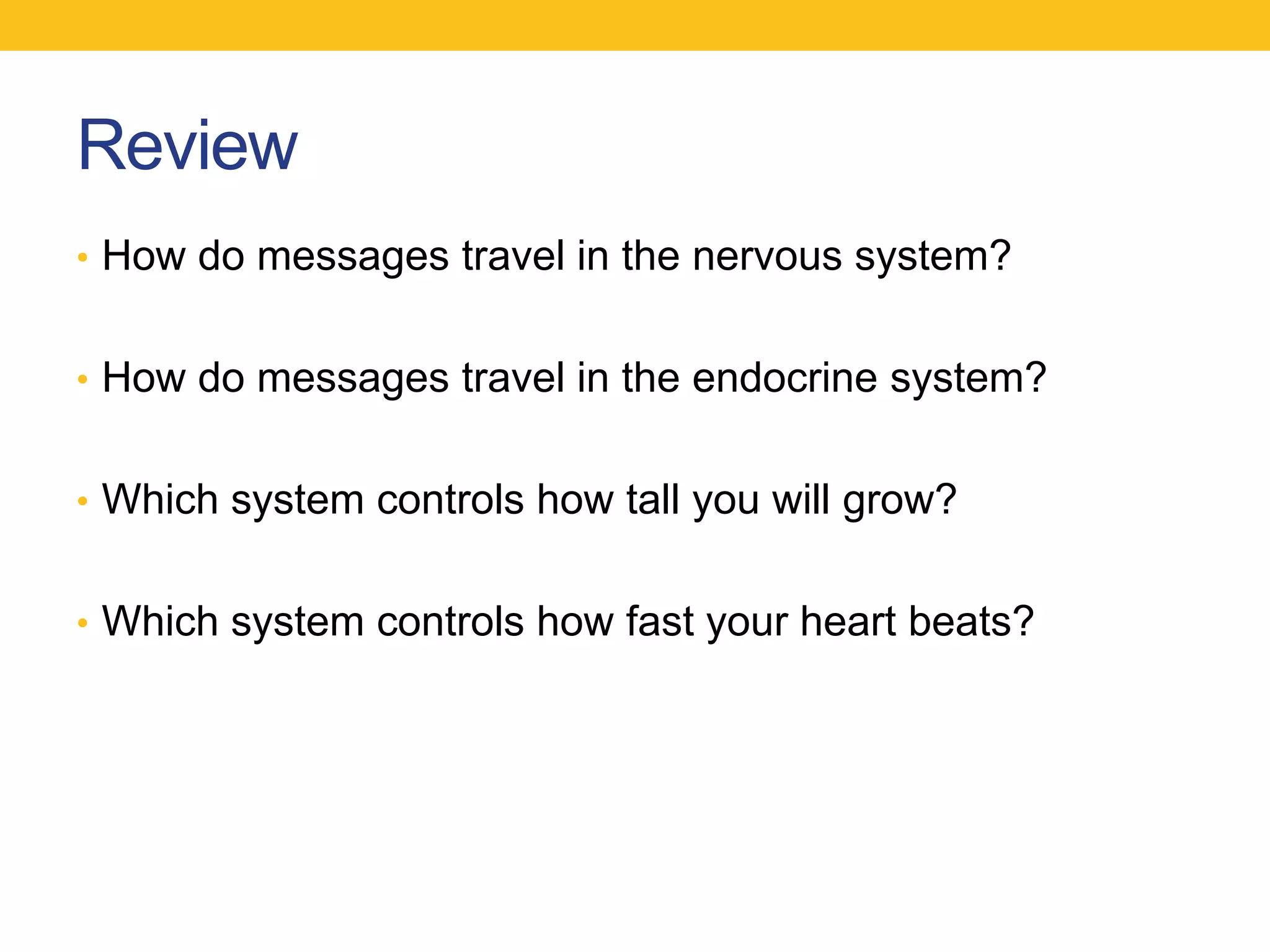 Review
• How do messages travel in the nervous system?


• How do messages travel in the endocrine system?


• Which system controls how tall you will grow?


• Which system controls how fast your heart beats?
 