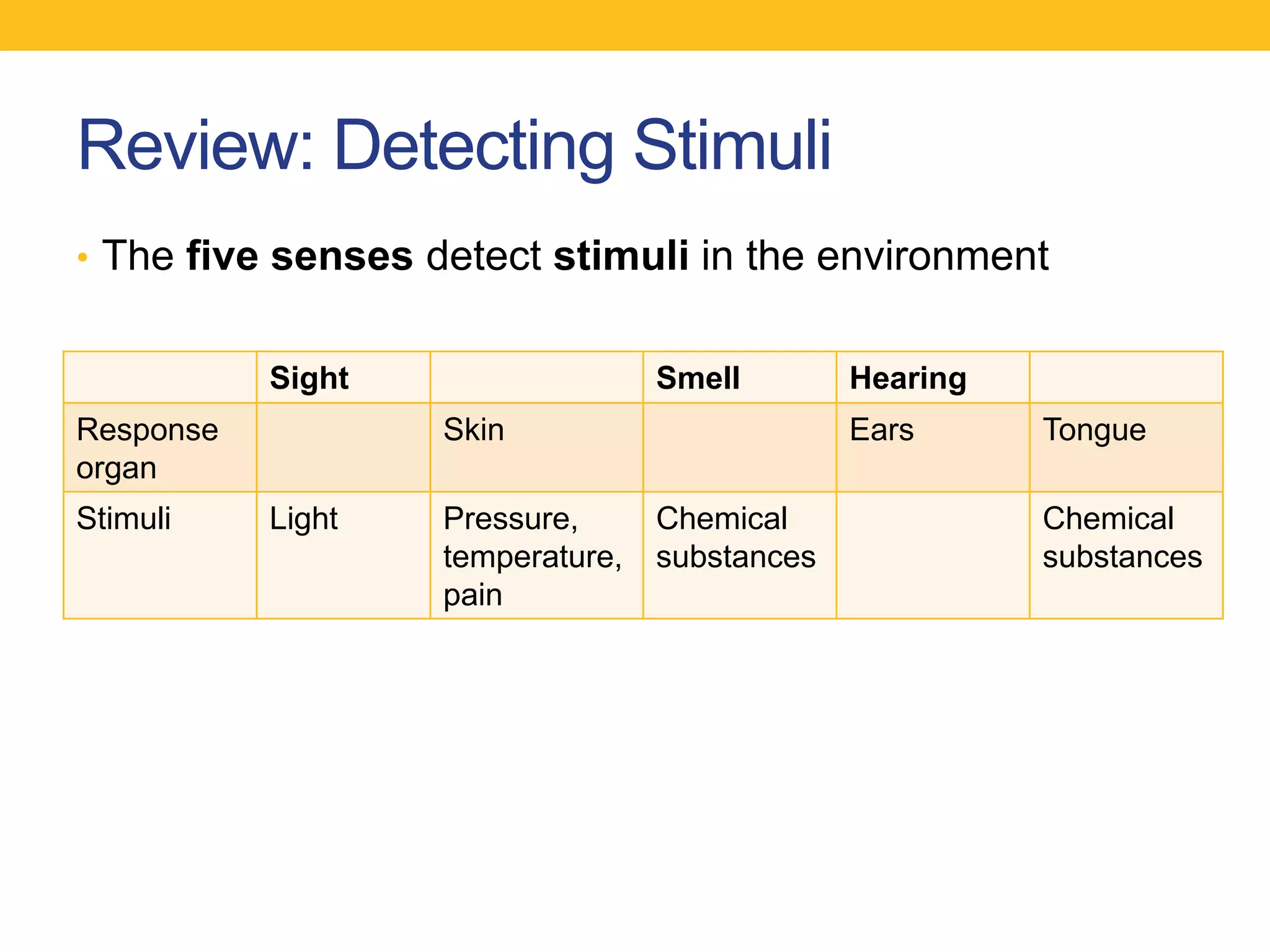 Review: Detecting Stimuli
• The five senses detect stimuli in the environment


           Sight                  Smell        Hearing
Response           Skin                        Ears      Tongue
organ
Stimuli    Light   Pressure,      Chemical               Chemical
                   temperature,   substances             substances
                   pain
 