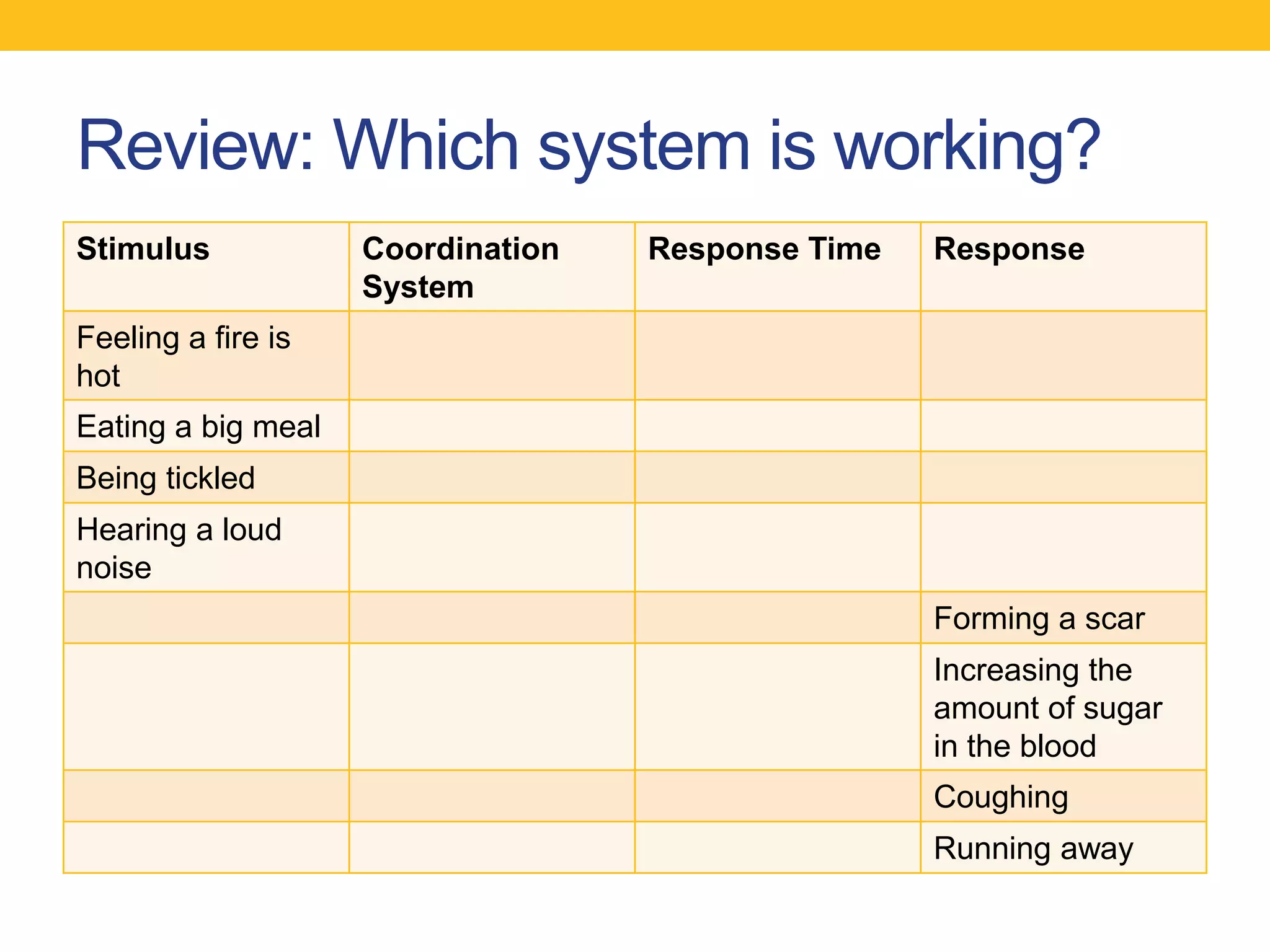 Review: Which system is working?
Stimulus            Coordination   Response Time   Response
                    System
Feeling a fire is
hot
Eating a big meal
Being tickled
Hearing a loud
noise
                                                   Forming a scar
                                                   Increasing the
                                                   amount of sugar
                                                   in the blood
                                                   Coughing
                                                   Running away
 