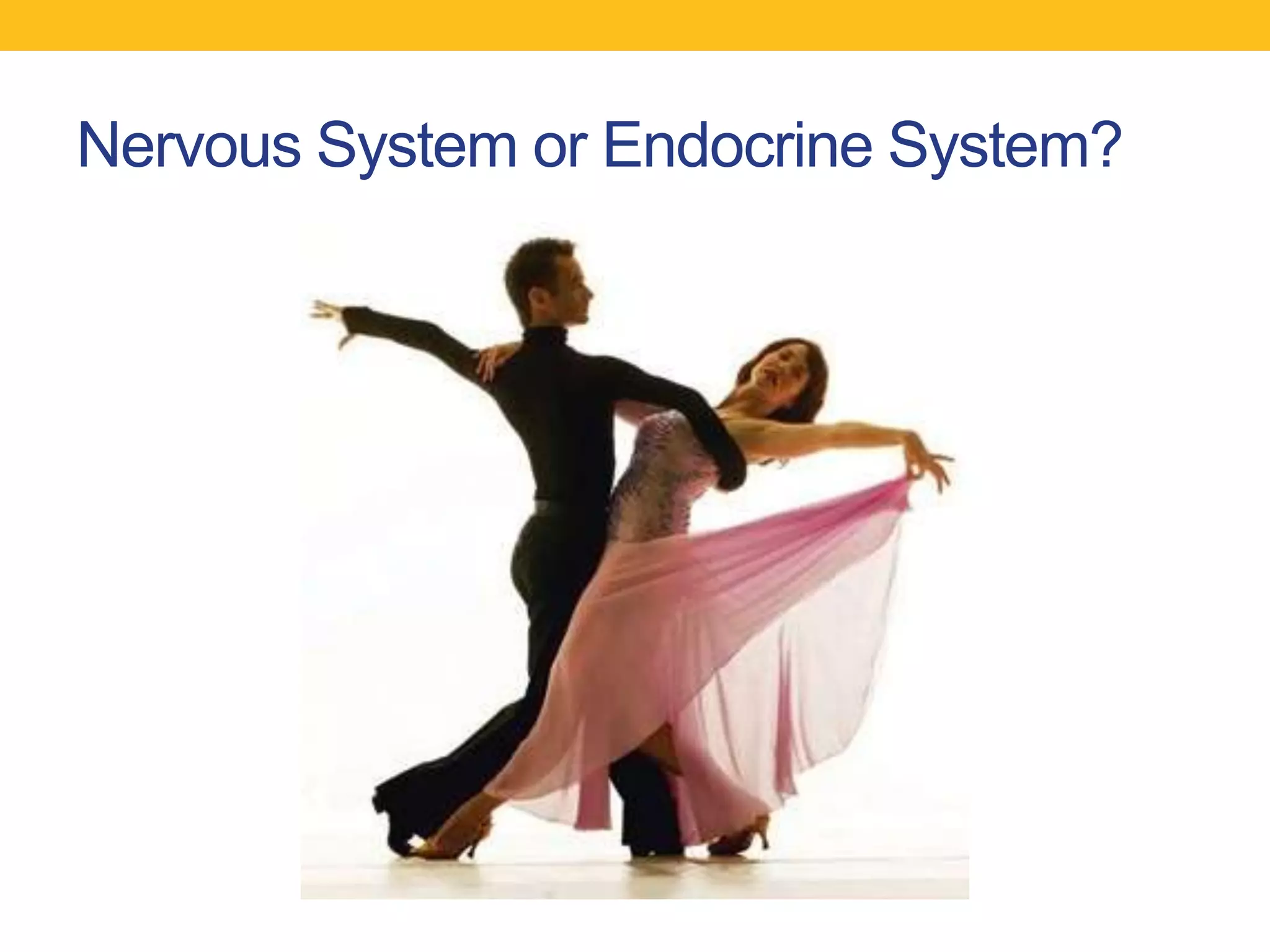 Nervous System or Endocrine System?
 