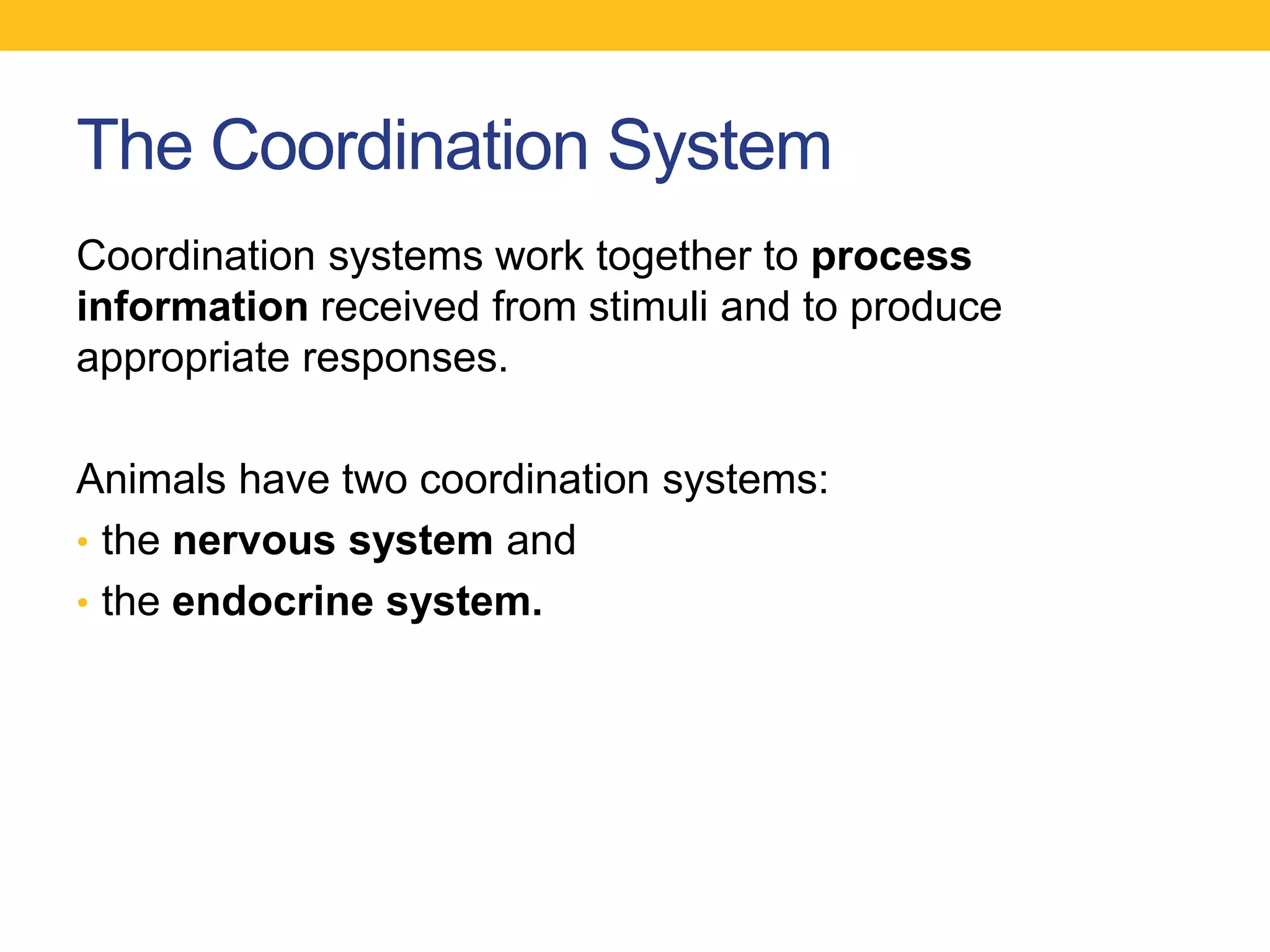 The Coordination System
Coordination systems work together to process
information received from stimuli and to produce
appropriate responses.

Animals have two coordination systems:
• the nervous system and
• the endocrine system.
 