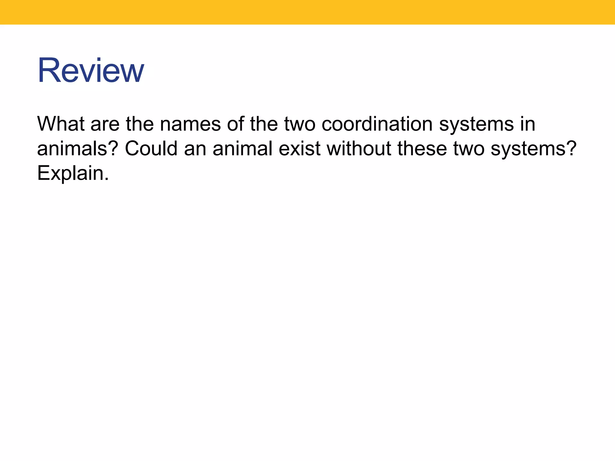 Review
What are the names of the two coordination systems in
animals? Could an animal exist without these two systems?
Explain.
 