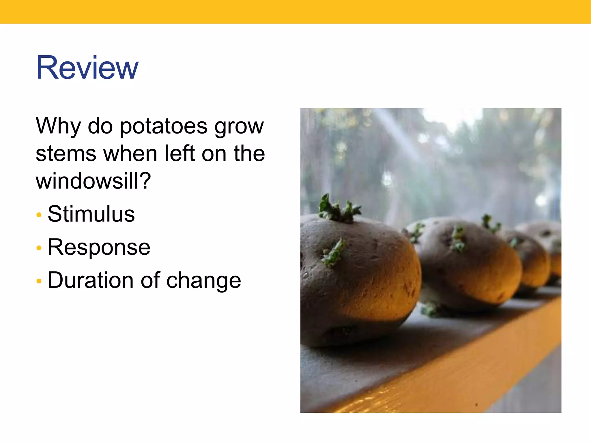Review
Why do potatoes grow
stems when left on the
windowsill?
• Stimulus
• Response
• Duration of change
 