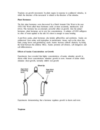 Tropisms are growth movements by plant organs in response to a unilateral stimulus, in
which the direction of the movement is related to the direction of the stimulus.
Plant Hormones
The first plant hormones were discovered by a Dutch botanist Fritz Went in the year
1928. Fritz Went called these hormones auxin or more accurately, indoleacetic acid
(IAA). This hormone has an extremely powerful effect on growth. Like the animal
hormones, plant hormones act in very low concentrations. A solution of 0.001 milligram
in a litre of water applied to the side of a shoot is enough to cause bending.
A part from auxins, plant hormones also include gibberellins and cytokinins. Auxins are
synthesized from amino acid tryptophan in meristematic tissues such as the shoot tips,
buds, young leaves and germinating seeds. Auxins increase cellwall elasticity by losing
the bond between the cellulose fibres. Auxins promote cell division, cell elongation and
cell differentiation.
Effects of Auxins Concentration on Growth
Experiments have revealed that higher concentrations of auxins stimulate growth in
shoots while lower concentrations stimulate growth in roots. Amount of auxins which
stimulate shoot growth, normally inhibit root growth
Experiments demonstrating that a hormone regulates growth in shoots and roots
Tropisms
 