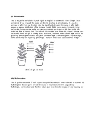 (ii) Phototropism
This is the growth movement of plant organs in response to a unilateral source of light. In an
experiment it was revealed that auxins are directly involved in phototropism. If a shoot is
exposed to light from one direction only, the shoot bends towards the source of light. Light
causes an unequal distribution of the hormone (auxin). Light causes auxins to migrate to the
darker side. In this case the auxins are more concentrated on the darker side than on the side
where the light is coming from. The cells on the dark side grow faster and elongate than the ones
on the side where the light is coming from. As a result, the shoot bends towards light. Shoots are
positively phototropism because they grow toward the light. Some roots grow away from light,
which means they are negatively phototropic. However many roots are not sensitive to light.
Effects of light on shoots
(iii) Hydrotropism
That is growth movement of plant organs in response to unilateral source of water or moisture. In
hydrotropism the root grows toward the source of water means the root are positively
hydrotropic. On the other hand the shoot either grow away from the source of water meaning are
 