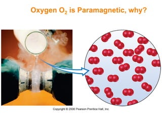 Oxygen O2 is Paramagnetic, why?
 