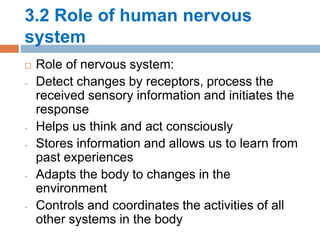 3.2 Role of human nervous
system
 Role of nervous system:
- Detect changes by receptors, process the
received sensory information and initiates the
response
- Helps us think and act consciously
- Stores information and allows us to learn from
past experiences
- Adapts the body to changes in the
environment
- Controls and coordinates the activities of all
other systems in the body
 