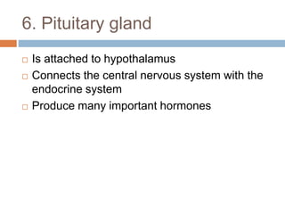 6. Pituitary gland
 Is attached to hypothalamus
 Connects the central nervous system with the
endocrine system
 Produce many important hormones
 