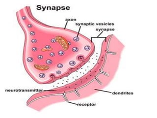 Coordination and response