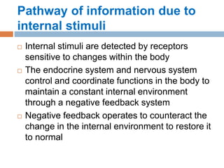 Pathway of information due to
internal stimuli
 Internal stimuli are detected by receptors
sensitive to changes within the body
 The endocrine system and nervous system
control and coordinate functions in the body to
maintain a constant internal environment
through a negative feedback system
 Negative feedback operates to counteract the
change in the internal environment to restore it
to normal
 
