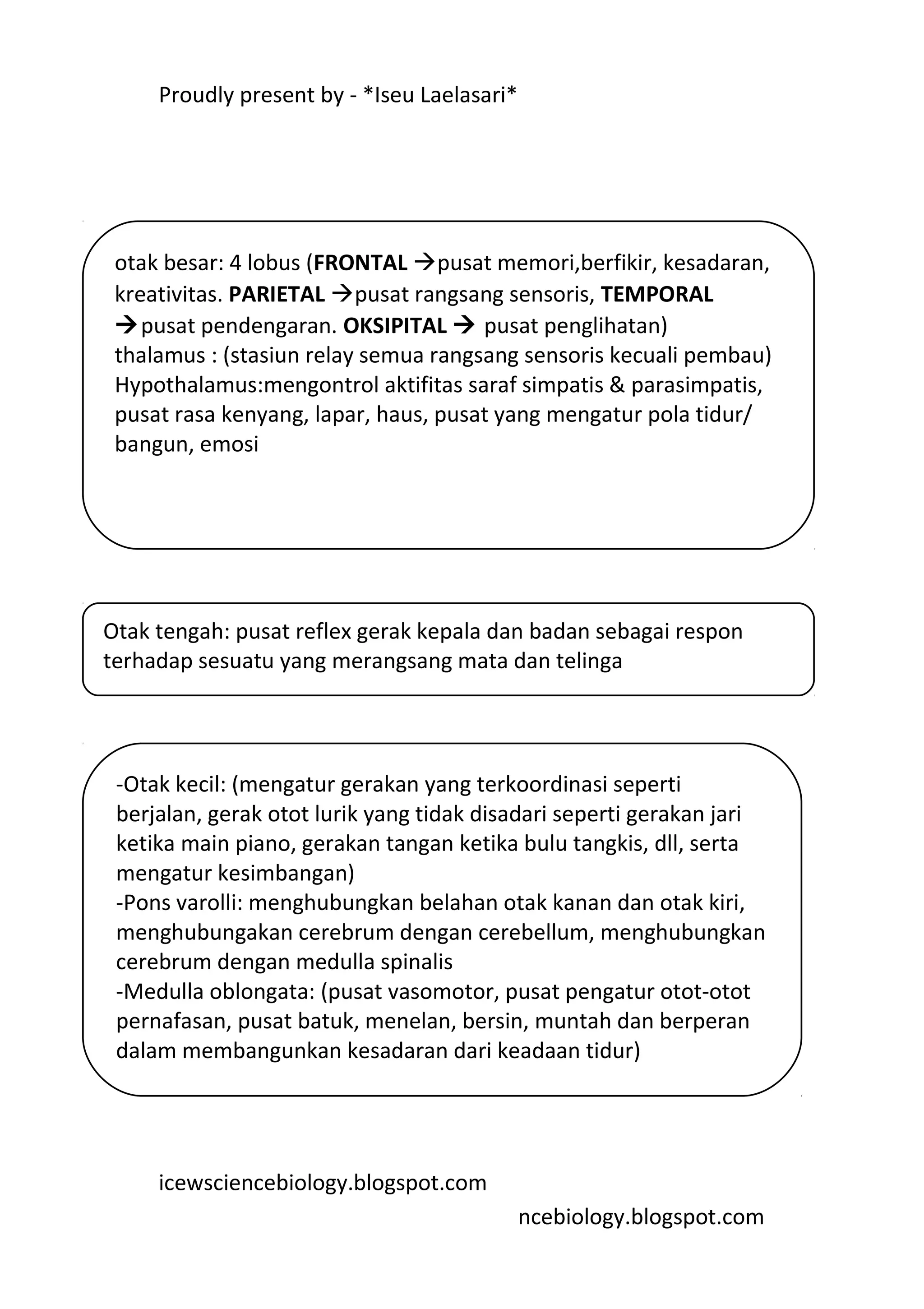 Proudly present by - *Iseu Laelasari*




 otak besar: 4 lobus (FRONTAL pusat memori,berfikir, kesadaran,
 kreativitas. PARIETAL pusat rangsang sensoris, TEMPORAL
 pusat pendengaran. OKSIPITAL  pusat penglihatan)
 thalamus : (stasiun relay semua rangsang sensoris kecuali pembau)
 Hypothalamus:mengontrol aktifitas saraf simpatis & parasimpatis,
 pusat rasa kenyang, lapar, haus, pusat yang mengatur pola tidur/
 bangun, emosi




Otak tengah: pusat reflex gerak kepala dan badan sebagai respon
terhadap sesuatu yang merangsang mata dan telinga




 -Otak kecil: (mengatur gerakan yang terkoordinasi seperti
 berjalan, gerak otot lurik yang tidak disadari seperti gerakan jari
 ketika main piano, gerakan tangan ketika bulu tangkis, dll, serta
 mengatur kesimbangan)
 -Pons varolli: menghubungkan belahan otak kanan dan otak kiri,
 menghubungakan cerebrum dengan cerebellum, menghubungkan
 cerebrum dengan medulla spinalis
 -Medulla oblongata: (pusat vasomotor, pusat pengatur otot-otot
 pernafasan, pusat batuk, menelan, bersin, muntah dan berperan
 dalam membangunkan kesadaran dari keadaan tidur)




     icewsciencebiology.blogspot.com
                                             ncebiology.blogspot.com
 