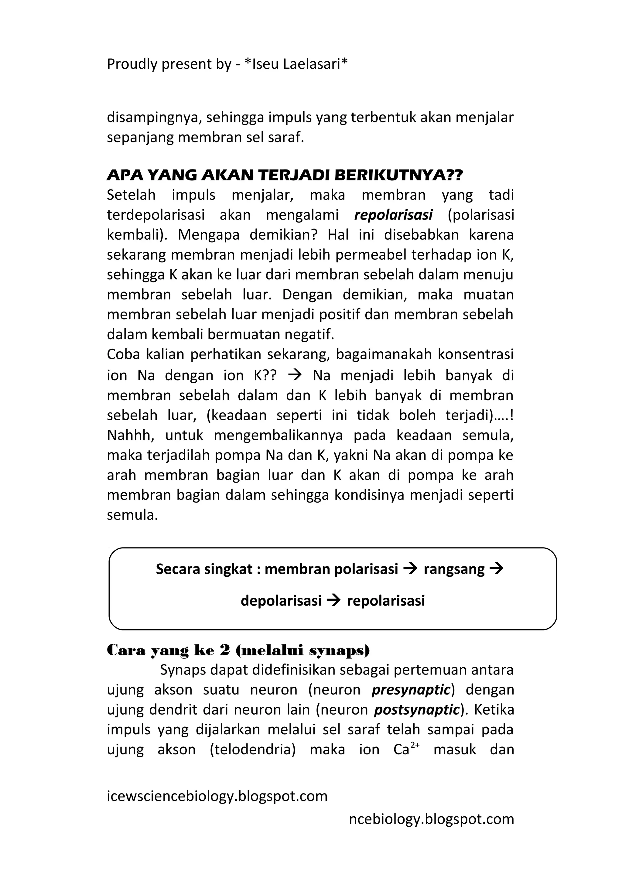 Proudly present by - *Iseu Laelasari*


disampingnya, sehingga impuls yang terbentuk akan menjalar
sepanjang membran sel saraf.

APA YANG AKAN TERJADI BERIKUTNYA??
Setelah impuls menjalar, maka membran yang tadi
terdepolarisasi akan mengalami repolarisasi (polarisasi
kembali). Mengapa demikian? Hal ini disebabkan karena
sekarang membran menjadi lebih permeabel terhadap ion K,
sehingga K akan ke luar dari membran sebelah dalam menuju
membran sebelah luar. Dengan demikian, maka muatan
membran sebelah luar menjadi positif dan membran sebelah
dalam kembali bermuatan negatif.
Coba kalian perhatikan sekarang, bagaimanakah konsentrasi
ion Na dengan ion K??  Na menjadi lebih banyak di
membran sebelah dalam dan K lebih banyak di membran
sebelah luar, (keadaan seperti ini tidak boleh terjadi)….!
Nahhh, untuk mengembalikannya pada keadaan semula,
maka terjadilah pompa Na dan K, yakni Na akan di pompa ke
arah membran bagian luar dan K akan di pompa ke arah
membran bagian dalam sehingga kondisinya menjadi seperti
semula.


       Secara singkat : membran polarisasi  rangsang 
                    depolarisasi  repolarisasi


Cara yang ke 2 (melalui synaps)
       Synaps dapat didefinisikan sebagai pertemuan antara
ujung akson suatu neuron (neuron presynaptic) dengan
ujung dendrit dari neuron lain (neuron postsynaptic). Ketika
impuls yang dijalarkan melalui sel saraf telah sampai pada
ujung akson (telodendria) maka ion Ca 2+ masuk dan

icewsciencebiology.blogspot.com
                                        ncebiology.blogspot.com
 