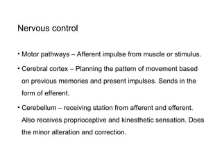 Nervous control
• Motor pathways – Afferent impulse from muscle or stimulus.
• Cerebral cortex – Planning the pattern of movement based
on previous memories and present impulses. Sends in the
form of efferent.
• Cerebellum – receiving station from afferent and efferent.
Also receives proprioceptive and kinesthetic sensation. Does
the minor alteration and correction.
 