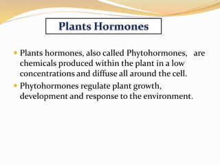  Plants hormones, also called Phytohormones, are
chemicals produced within the plant in a low
concentrations and diffuse all around the cell.
 Phytohormones regulate plant growth,
development and response to the environment.
 