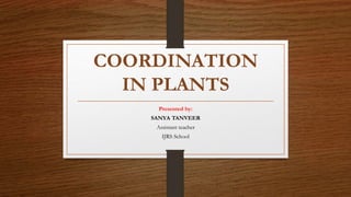 COORDINATION
IN PLANTS
Presented by:
SANYA TANVEER
Assistant teacher
IJRS School
 