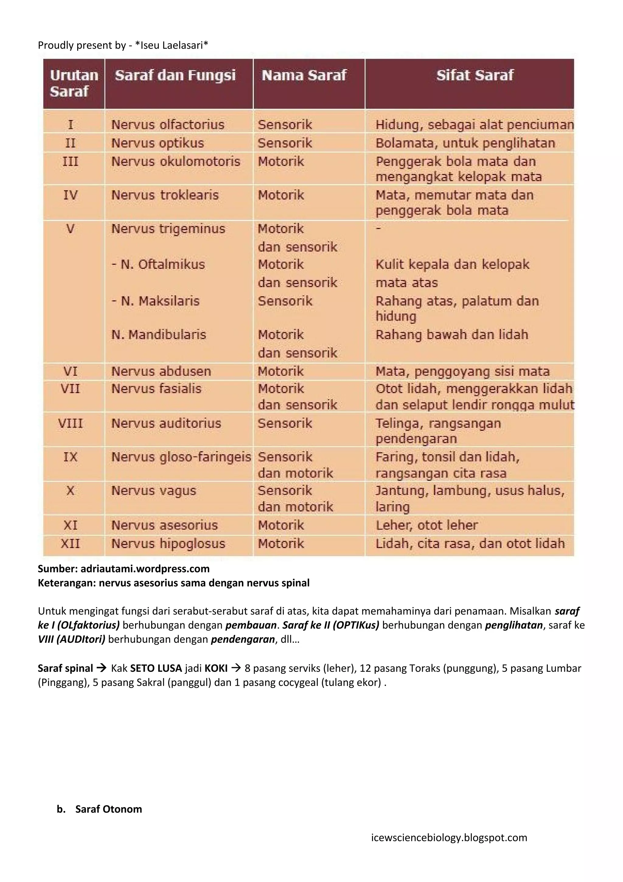 Proudly present by - *Iseu Laelasari*




Sumber: adriautami.wordpress.com
Keterangan: nervus asesorius sama dengan nervus spinal

Untuk mengingat fungsi dari serabut-serabut saraf di atas, kita dapat memahaminya dari penamaan. Misalkan saraf
ke I (OLfaktorius) berhubungan dengan pembauan. Saraf ke II (OPTIKus) berhubungan dengan penglihatan, saraf ke
VIII (AUDItori) berhubungan dengan pendengaran, dll…

Saraf spinal  Kak SETO LUSA jadi KOKI  8 pasang serviks (leher), 12 pasang Toraks (punggung), 5 pasang Lumbar
(Pinggang), 5 pasang Sakral (panggul) dan 1 pasang cocygeal (tulang ekor) .




    b. Saraf Otonom

                                                                    icewsciencebiology.blogspot.com
 