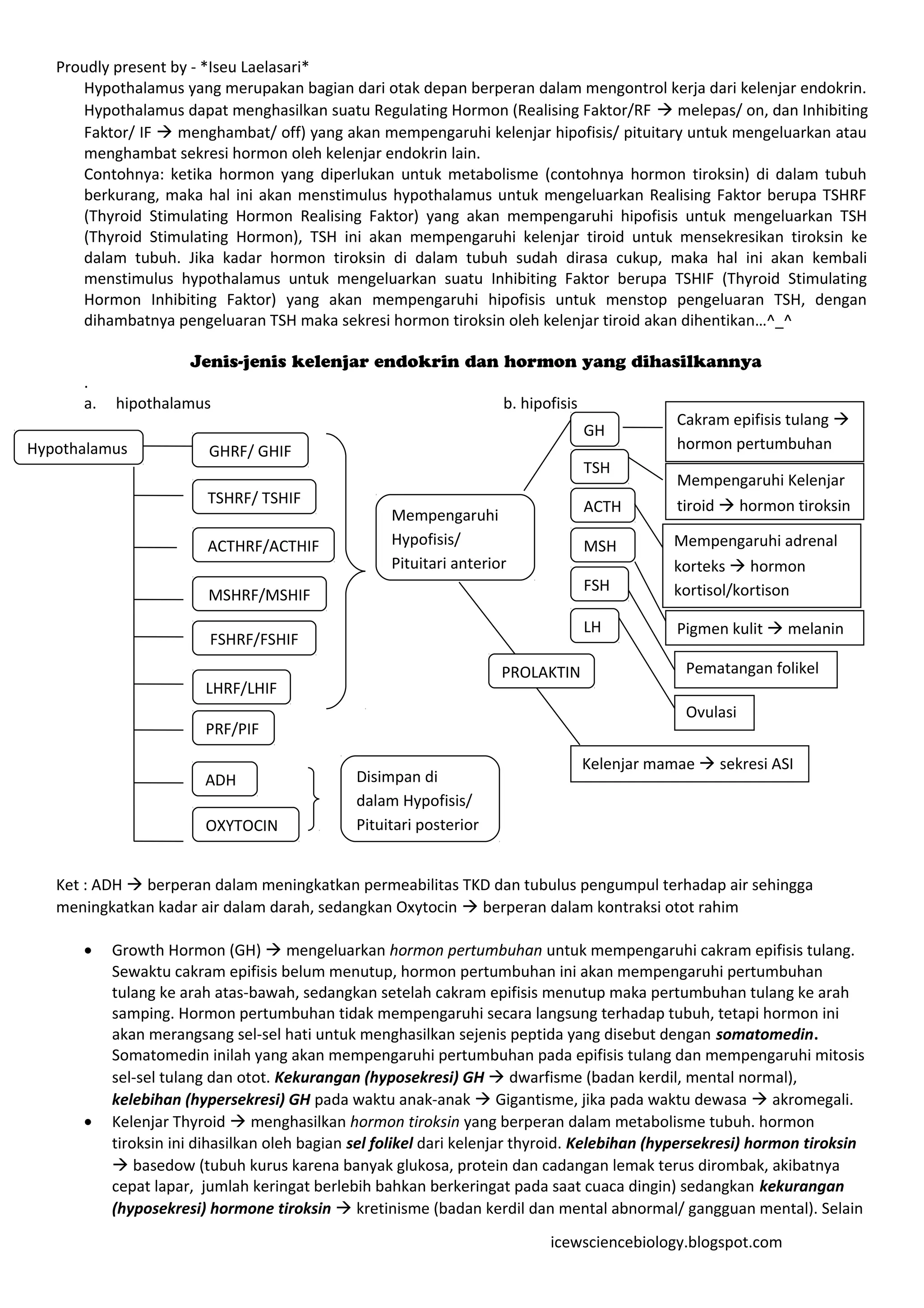 Proudly present by - *Iseu Laelasari*
      Hypothalamus yang merupakan bagian dari otak depan berperan dalam mengontrol kerja dari kelenjar endokrin.
      Hypothalamus dapat menghasilkan suatu Regulating Hormon (Realising Faktor/RF  melepas/ on, dan Inhibiting
      Faktor/ IF  menghambat/ off) yang akan mempengaruhi kelenjar hipofisis/ pituitary untuk mengeluarkan atau
      menghambat sekresi hormon oleh kelenjar endokrin lain.
      Contohnya: ketika hormon yang diperlukan untuk metabolisme (contohnya hormon tiroksin) di dalam tubuh
      berkurang, maka hal ini akan menstimulus hypothalamus untuk mengeluarkan Realising Faktor berupa TSHRF
      (Thyroid Stimulating Hormon Realising Faktor) yang akan mempengaruhi hipofisis untuk mengeluarkan TSH
      (Thyroid Stimulating Hormon), TSH ini akan mempengaruhi kelenjar tiroid untuk mensekresikan tiroksin ke
      dalam tubuh. Jika kadar hormon tiroksin di dalam tubuh sudah dirasa cukup, maka hal ini akan kembali
      menstimulus hypothalamus untuk mengeluarkan suatu Inhibiting Faktor berupa TSHIF (Thyroid Stimulating
      Hormon Inhibiting Faktor) yang akan mempengaruhi hipofisis untuk menstop pengeluaran TSH, dengan
      dihambatnya pengeluaran TSH maka sekresi hormon tiroksin oleh kelenjar tiroid akan dihentikan…^_^

                      Jenis-jenis kelenjar endokrin dan hormon yang dihasilkannya
      .
      a.   hipothalamus                                              b. hipofisis
                                                                                                Cakram epifisis tulang 
                                                                                    GH
Hypothalamus             GHRF/ GHIF                                                             hormon pertumbuhan
                                                                                    TSH
                                                                                                Mempengaruhi Kelenjar
                         TSHRF/ TSHIF                                                           tiroid  hormon tiroksin
                                                                                    ACTH
                                                    Mempengaruhi
                         ACTHRF/ACTHIF              Hypofisis/                      MSH         Mempengaruhi adrenal
                                                    Pituitari anterior                          korteks  hormon
                                                                                    FSH         kortisol/kortison
                         MSHRF/MSHIF
                                                                                    LH          Pigmen kulit  melanin
                         FSHRF/FSHIF
                                                                     PROLAKTIN                   Pematangan folikel
                        LHRF/LHIF
                                                                                                 Ovulasi
                        PRF/PIF

                                                                                    Kelenjar mamae  sekresi ASI
                        ADH                    Disimpan di
                                               dalam Hypofisis/
                        OXYTOCIN               Pituitari posterior


   Ket : ADH  berperan dalam meningkatkan permeabilitas TKD dan tubulus pengumpul terhadap air sehingga
   meningkatkan kadar air dalam darah, sedangkan Oxytocin  berperan dalam kontraksi otot rahim

      •    Growth Hormon (GH)  mengeluarkan hormon pertumbuhan untuk mempengaruhi cakram epifisis tulang.
           Sewaktu cakram epifisis belum menutup, hormon pertumbuhan ini akan mempengaruhi pertumbuhan
           tulang ke arah atas-bawah, sedangkan setelah cakram epifisis menutup maka pertumbuhan tulang ke arah
           samping. Hormon pertumbuhan tidak mempengaruhi secara langsung terhadap tubuh, tetapi hormon ini
           akan merangsang sel-sel hati untuk menghasilkan sejenis peptida yang disebut dengan somatomedin.
           Somatomedin inilah yang akan mempengaruhi pertumbuhan pada epifisis tulang dan mempengaruhi mitosis
           sel-sel tulang dan otot. Kekurangan (hyposekresi) GH  dwarfisme (badan kerdil, mental normal),
           kelebihan (hypersekresi) GH pada waktu anak-anak  Gigantisme, jika pada waktu dewasa  akromegali.
      •    Kelenjar Thyroid  menghasilkan hormon tiroksin yang berperan dalam metabolisme tubuh. hormon
           tiroksin ini dihasilkan oleh bagian sel folikel dari kelenjar thyroid. Kelebihan (hypersekresi) hormon tiroksin
            basedow (tubuh kurus karena banyak glukosa, protein dan cadangan lemak terus dirombak, akibatnya
           cepat lapar, jumlah keringat berlebih bahkan berkeringat pada saat cuaca dingin) sedangkan kekurangan
           (hyposekresi) hormone tiroksin  kretinisme (badan kerdil dan mental abnormal/ gangguan mental). Selain
                                                                            icewsciencebiology.blogspot.com
 
