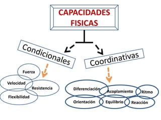 CAPACIDADES
FISICAS
Velocidad
Resistencia
Fuerza
Flexibilidad
Diferenciación
Acoplamiento
EquilibrioOrientación Reacción
Ritmo