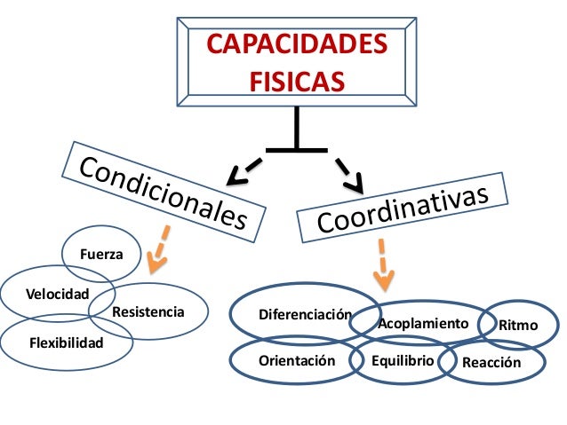 CAPACIDADES COORDINATIVAS Y CONDICIONALES PDF