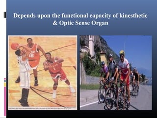 Depends upon the functional capacity of kinesthetic
& Optic Sense Organ
 