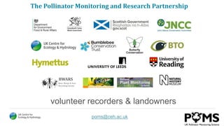 monitoring-pollinating-insects-and-other-wildlife-during-2020-highs