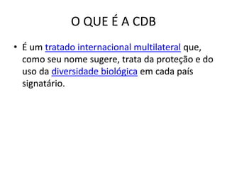 O QUE É A CDB
• É um tratado internacional multilateral que,
como seu nome sugere, trata da proteção e do
uso da diversidade biológica em cada país
signatário.
 