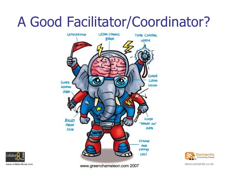 A Good Facilitator/Coordinator?