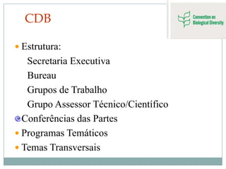 CDB

 Estrutura:
   Secretaria Executiva
   Bureau
   Grupos de Trabalho
   Grupo Assessor Técnico/Científico
  Conferências das Partes
 Programas Temáticos
 Temas Transversais
 