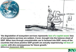 ‘ the degradation of ecosystem services represents  loss of a capital asset ;  loss of eco-systems services are seldom, if ever, brought into the balance sheet of GDP. When loss through unsustainable use is factored into GDP, many of the countries that show positive GDP growth are actually experiencing  net loss of capital , with dire consequences for future growth.’ (Millennium Assessment, 2005)  