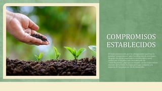 COMPROMISOS
ESTABLECIDOS
El texto consensuado por las delegaciones sustituye la
palabra “compromisos” para la reducción de emisiones
de gases de efecto invernadero establecidos a nivel
estatal por el término más descafeinado de
“contribuciones”, algo que no cumple con las expectativas
iniciales de la Unión Europea pero que contenta a la
mayoría de los países en vía de desarrollo.
 