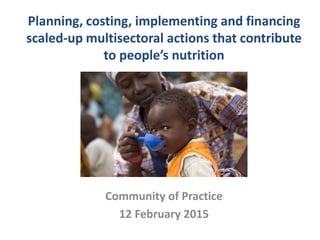 Planning, costing, implementing and financing
scaled-up multisectoral actions that contribute
to people’s nutrition
Community of Practice
12 February 2015
 