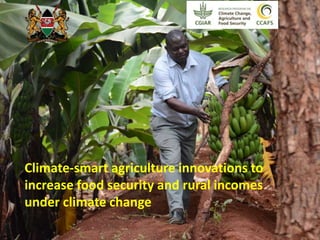 Climate-smart agriculture innovations to 
increase food security and rural incomes 
under climate change 
 