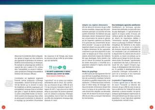 3130
détournant les biodéchets (dont la dégrada-
tion génère le biogaz) vers des traitements
plus appropriés et générateurs de nombreux
bénéfices environnementaux et climatiques.
Par exemple le compostage (qui améliore la
capacité des sols à capter le CO2 contenu
dans l’atmosphère), ou encore la méthani-
sation (production d’énergie renouvelable et
limitation des émissions diffuses).
L’incinération est également largement
financée comme productrice « d’énergie
renouvelable »,faisant fi du fait que la majo-
rité des déchets qui lui donnent ce statut
(les biodéchets ou déchets organiques) sont
principalement composés d’eau et ne brûlent
que grâce à l’apport de déchets plastiques
ou autres combustibles fossiles.Les finance-
ments seraient ainsi beaucoup mieux utilisés
en promouvant la prévention, le réemploi et
le recyclage, qui permettent d’économiser
des ressources et de l’énergie, avec toutes
les émissions de gaz à effet de serre évitées
que cela représente.
ÞÞ Sécurité alimentaire et réduc-
tion des gaz à effet de serre :
deux enjeux compatibles
L’agriculture12
est un secteur aux relations
ambivalentes avec le climat : fort contribu-
teur aux émissions de gaz à effet de serre
(1/4 des émissions mondiales d’après le 5e
rapport du GIEC), l’agriculture est en même
temps un pourvoyeur de solutions (potentiel
puits de carbone et producteur d’énergies
renouvelables), tout en étant très sensible
aux effets des changements climatiques déjà
observés et à venir.
Adapter nos régimes alimentaires
Afin de réduire les émissions de gaz à effet
de serre mondiales,chaque pays doit priori-
tairement participer à la transition de notre
système alimentaire : les habitants des pays
développés doivent drastiquement baisser
leur consommation de calories en général,
qui est largement supérieure aux besoins,
et en particulier leur consommation de pro-
téines animales13
.Les pays en voie de déve-
loppement doivent eux aussi veiller à ce que
le régime alimentaire de leur population,
notamment la part de la population la plus
aisée, ne rejoigne pas le niveau actuel des
régimes alimentaires moyens des habitants
des pays développés. Notre planète n’est
pas en mesure de produire les quantités
de viande nécessaires si l’ensemble de la
population adoptait le régime actuel des
pays développés.
Moins de gaspillage
Un effort particulier doit également être fait
pour diminuer le gaspillage alimentaire. Un
tiers de la production mondiale d’aliments
est perdue ou gaspillée chaque année,ce qui
représente 1,3 milliard de tonnes d’aliments.
Dans le même temps, les échanges mon-
diaux de denrées alimentaires doivent être
revus à la baisse et les productions natio-
nales doivent être adaptées aux demandes
locales afin de réduire les émissions de gaz à
effet de serre liées au transport international
de marchandises.
Des techniques agricoles améliorées
Parallèlement, les techniques agricoles
doivent être améliorées, en particulier dans
les pays développés : il s’agit de baisser les
apports en engrais azotés, d’assurer une
meilleure gestion des déjections animales,
de réduire les importations dédiées à
l’alimentation animale, d’augmenter le
recours au pâturage, d’améliorer l’efficacité
énergétique des bâtiments et des engins
agricoles, etc. Ces actions sur la réduction
des émissions doivent être complétées (et
non remplacées !) par une amélioration de
la séquestration du carbone dans les sols et
les plantes, au travers de pratiques qui ne
mettent pas en danger les droits des popu-
lations locales.Par exemple :l’agroforesterie,
la replantation des haies, la diminution du
travail des sols, l’apport d’engrais orga-
niques, le développement des intercultures,
etc. En parallèle, le développement de la
production d’énergies renouvelables (à
partir de la biomasse et hors biomasse)
doit venir compléter ces efforts.
La priorité à l’agroécologie
Le secteur agricole joue un rôle vital, celui
de nourrir l’humanité. La réduction des
émissions de gaz à effet de serre ne peut se
faire au détriment de l’impératif de sécurité
alimentaire.La bonne nouvelle,c’est que les
pratiques agroécologiques respectueuses du
climat permettront aussi de mieux nourrir les
populations. Ce que l’agriculture capitaliste
et productiviste a échoué à faire.
CO2
BIO
12/ Nous regroupons
ici sous le terme agri-
culture : l’agriculture (les
cultures et l’élevage), les
forêts et leur gestion, et
l’utilisation des terres.
13/ Nous parlons
ici bien entendu du
régime alimentaire
moyen des habitants
des pays développés,
étant conscient des
disparités existantes
entre différentes classes
de la population.
© RobertClark
© Greenpeace
 